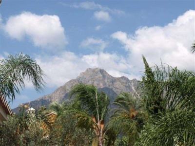 Marbella property: Marbella Villa 246064