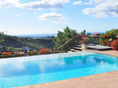 Benahavis property: Commercial for sale in Benahavis 246068