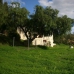 Benahavis property: 2 bedroom House in Malaga 246080