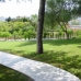 Marbella property: Villa in Malaga 246163