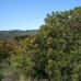Benahavis property: bedroom Land in Benahavis, Spain 246170