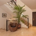 Marbella property: Villa in Malaga 246178