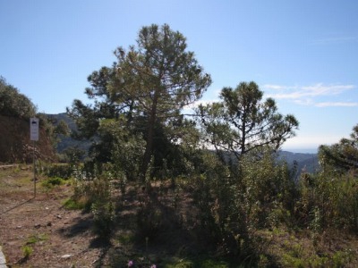 Benahavis property: Land for sale in Benahavis, Malaga 246191