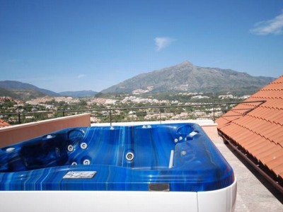 Marbella property: Marbella Penthouse 246519
