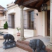 Marbella property: Marbella, Spain Villa 246603