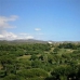 Marbella property:  Villa in Malaga 246619