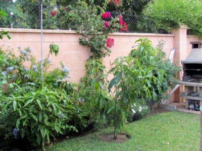 Marbella property: Malaga Villa 246628