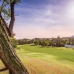Marbella property: Malaga, Spain Finca 246680