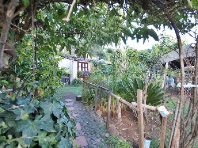 Estepona property: Finca for sale in Estepona, Spain 246739