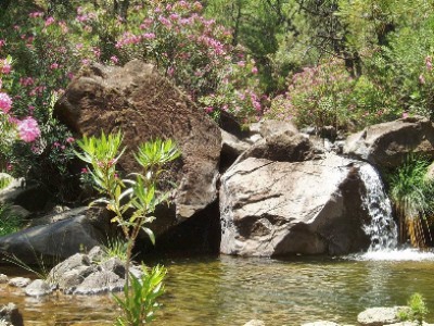 Estepona property: Finca with 1 bedroom in Estepona 246739