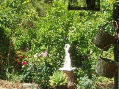 Estepona property: Estepona, Spain | Finca for sale 246739