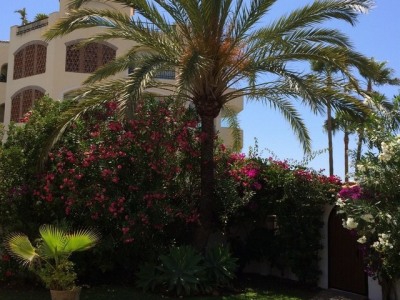 Marbella property: Marbella Villa 246834