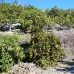 bedroom Land in town, Spain 247287
