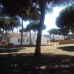 Elviria property: Beautiful Villa to rent in Malaga 247356