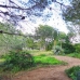 Beautiful Villa for sale in town 247407