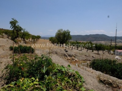 Oria property: House with 4 bedroom in Oria, Spain 247440