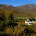 Tabernas property: House for sale in Tabernas 247445
