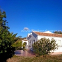 Albanchez property: Villa for sale in Albanchez 247455