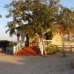 Catral property: Alicante, Spain Villa 247477