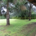 Villa in town 247518
