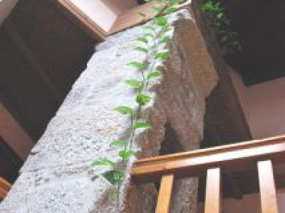 Cerdedo property: Cerdedo, Spain | Commercial for sale 247531