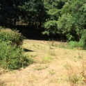 Land for sale in town 247532