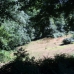 Land in Pontevedra 247532