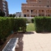 Punta Prima property: Apartment in Punta Prima 247610