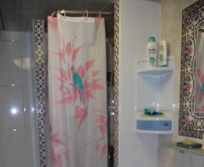 Playa Flamenca property: Alicante Villa 247653