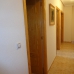 Torrevieja property: Apartment in Torrevieja 247661