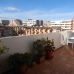 Punta Prima property: Apartment in Alicante 247734