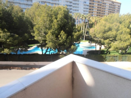 Bungalow in Alicante for sale 247794