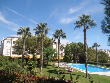 Villamartin property: Villamartin Apartment 247881