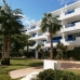 Playa Flamenca property: Apartment for sale in Playa Flamenca 247886