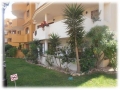 Punta Prima property: Apartment in Alicante for sale 247904