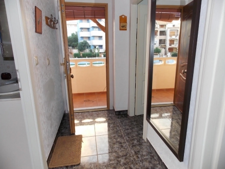 La Mata property: La Mata Apartment 247917