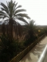 Punta Prima property: Apartment with 2 bedroom in Punta Prima, Spain 247987