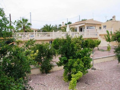 Albatera property: Albatera Villa 248053