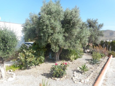 Hondon De Los Frailes property: Alicante Finca 248110