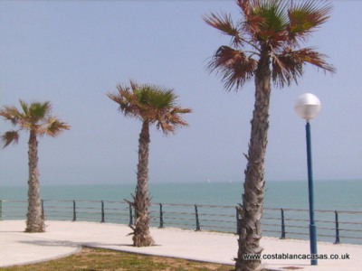 Playa Flamenca property: Villa with 3 bedroom in Playa Flamenca 248178