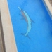 Los Urrutias property: 4 bedroom Villa in Murcia 248194