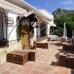 Alcaucin property: Villa for sale in Alcaucin 248242