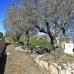 Monte Pego property: Monte Pego, Spain Villa 248349