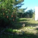 Javea property: Villa in Javea 249470
