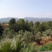 Javea property: Javea, Spain Villa 249483