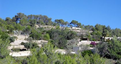 Villa in Alicante to rent 249911