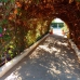 Villa in Alicante 250714
