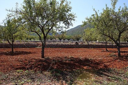 Jalon&nbsp;property:&nbsp;Jalon&nbsp;Villa&nbsp;250874