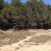 Javea property: Javea, Spain Villa 250887