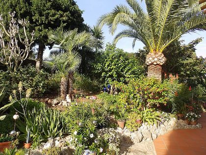 Monte Pego property: Villa with 3 bedroom in Monte Pego 251247